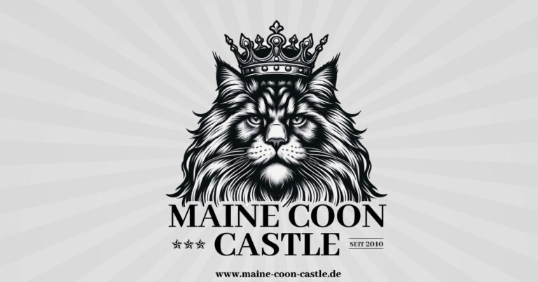 Maine Coon Zucht Maine Coon Castle