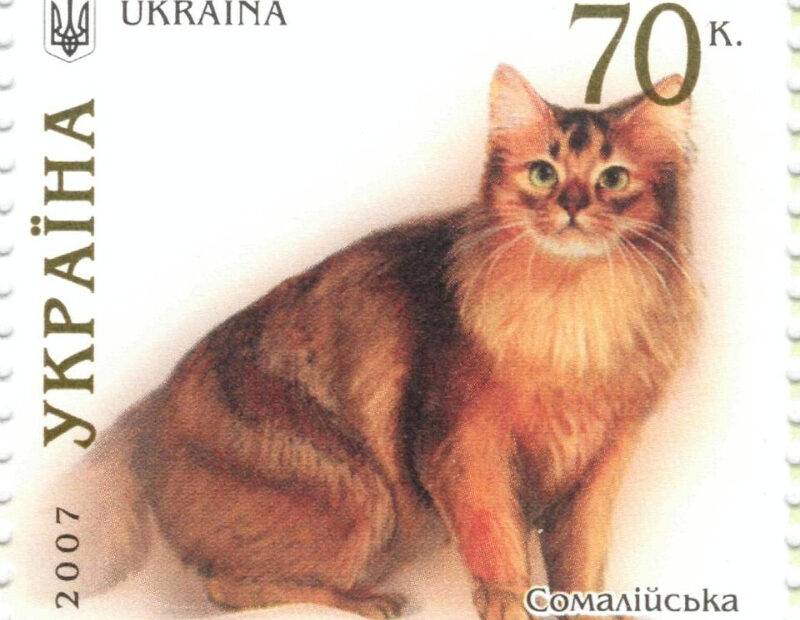 Eine ukrainische Briefmarke mit Somalikatze